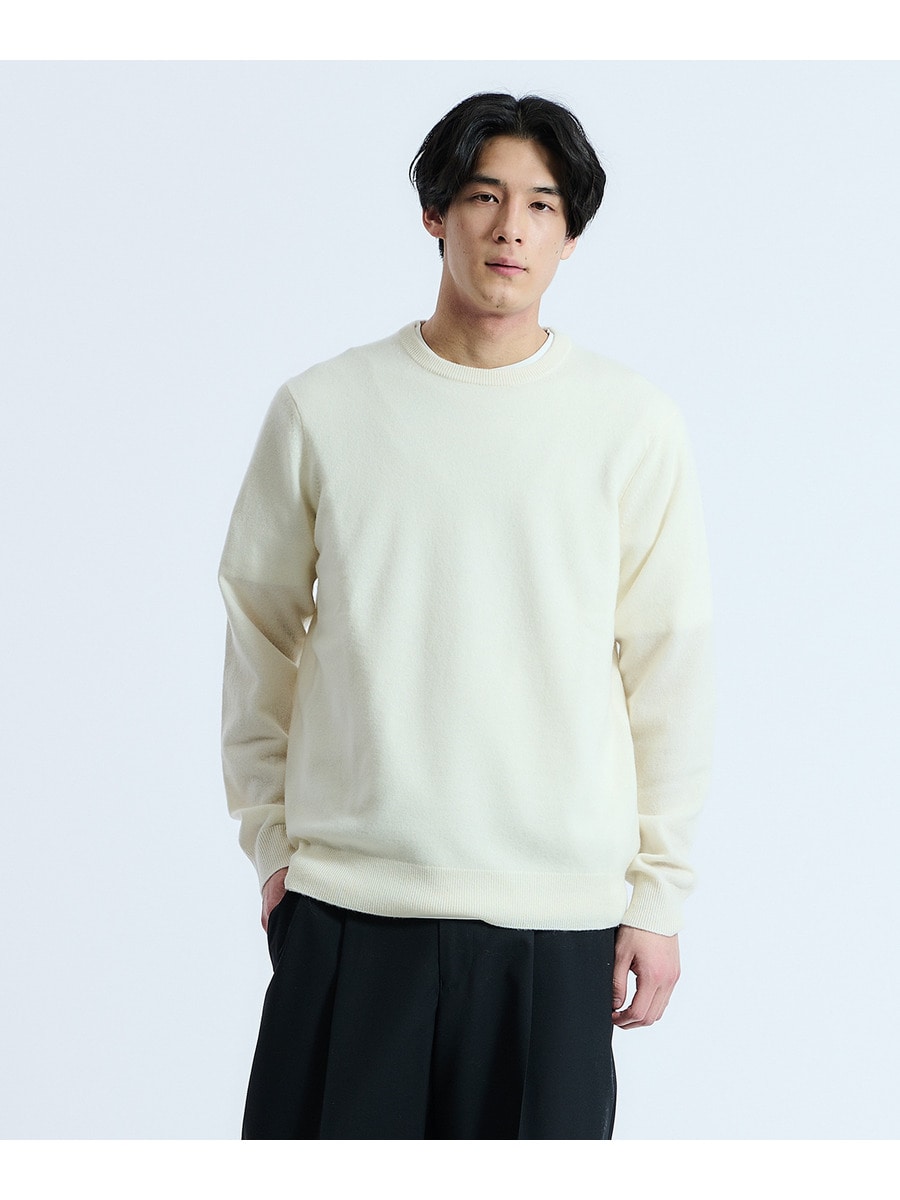 ESTNATION / ウォッシャブルカシミヤクルーネックニット