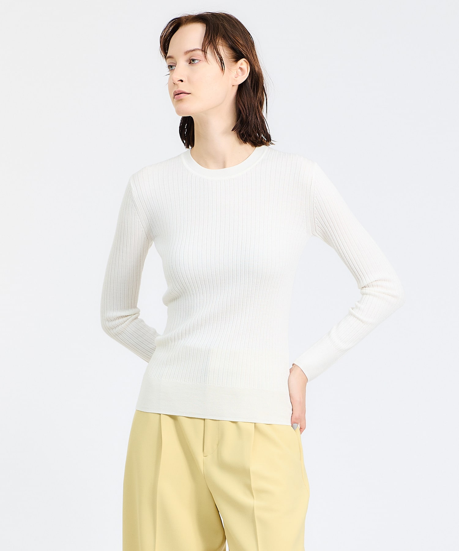 ESTNATION / 16ゲージリブクルーネックニット|ESTNATION ONLINE STORE|エストネーション 公式通販
