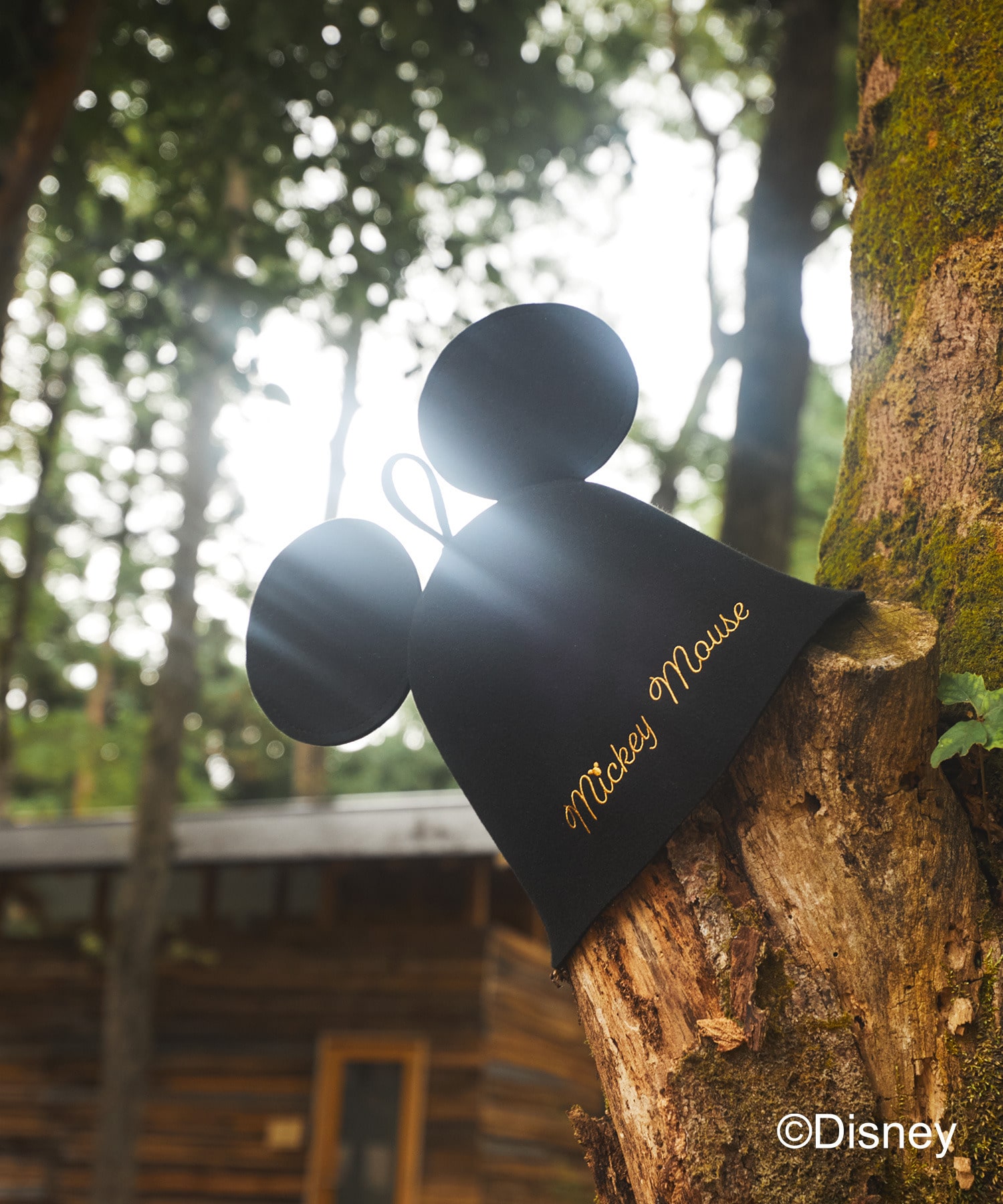 Estnation Quot Disney Sauna Goods Collection Quot ミッキーマウス サウナハット Estnation Online Store エストネーション 公式通販