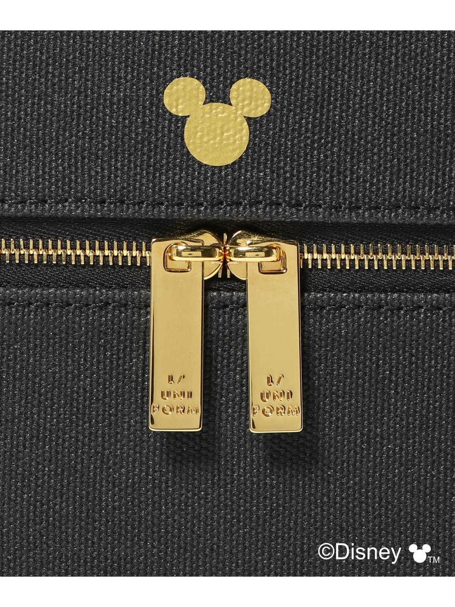 Disneyland ミニチュアモデル　ケース付き New with box TOKYO disneyland 2025 Japan New Year's limited
