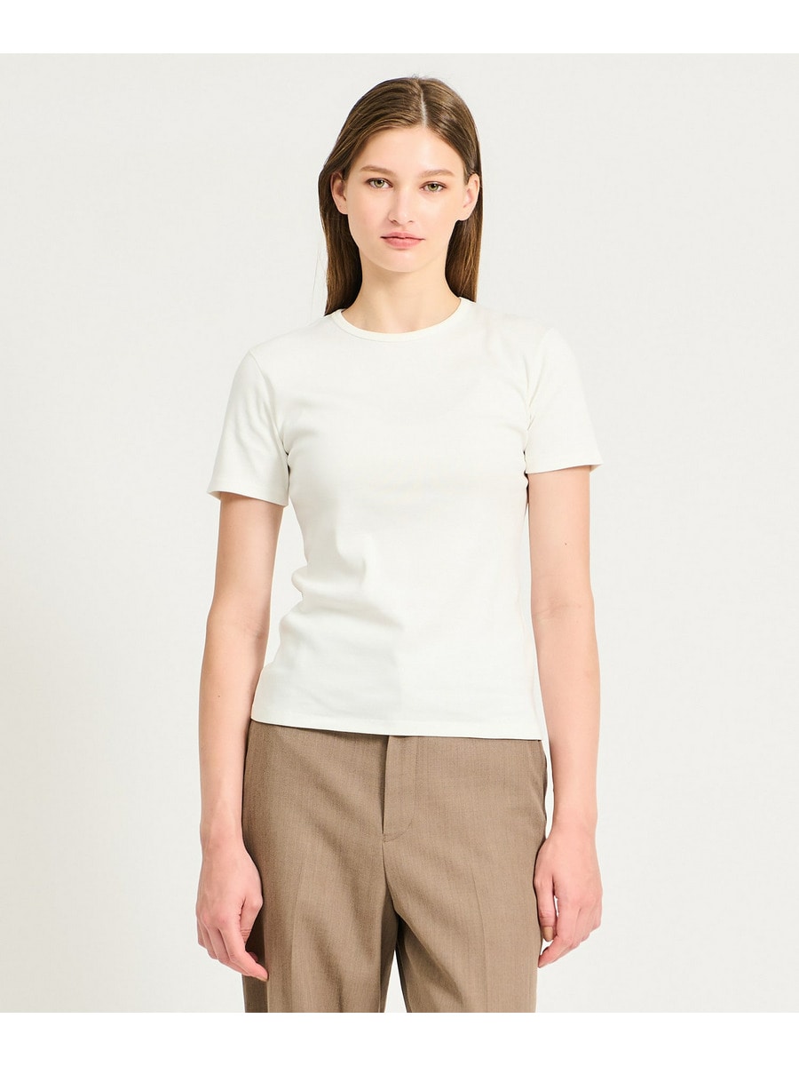 オーガニックコットン Tシャツ