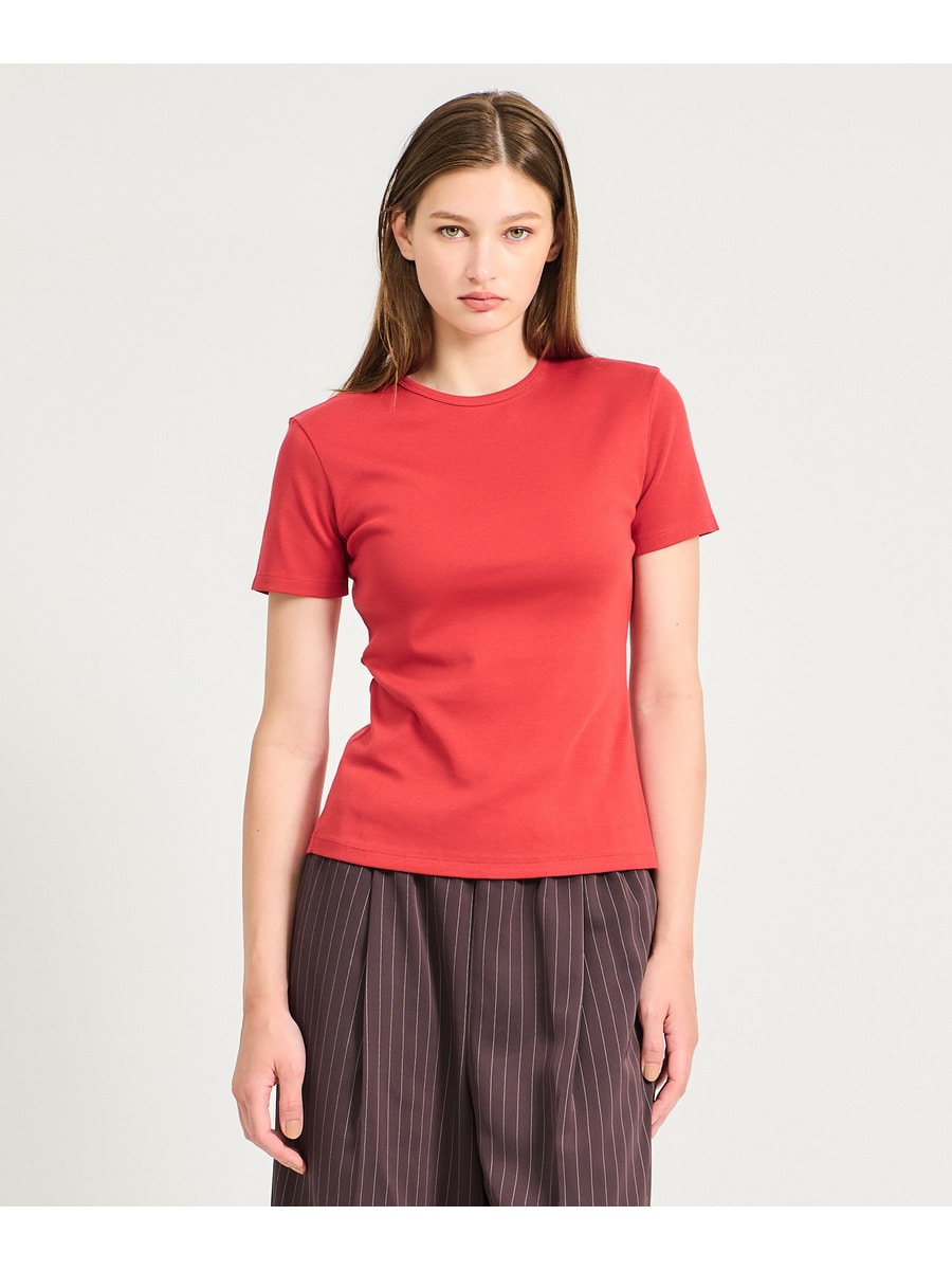 オーガニックコットン Tシャツ