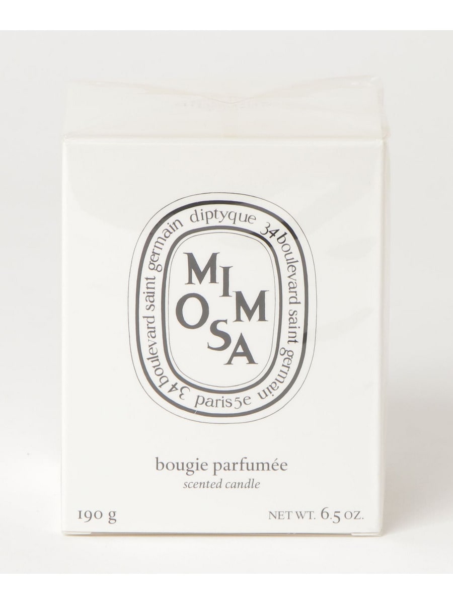 diptyque / 