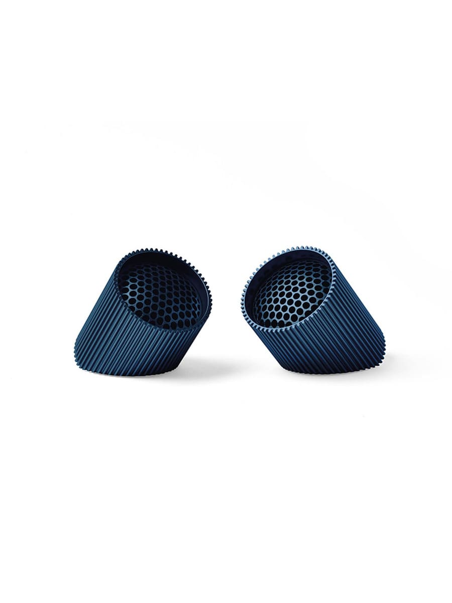 Ray Speaker