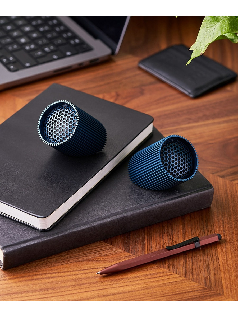 Ray Speaker
