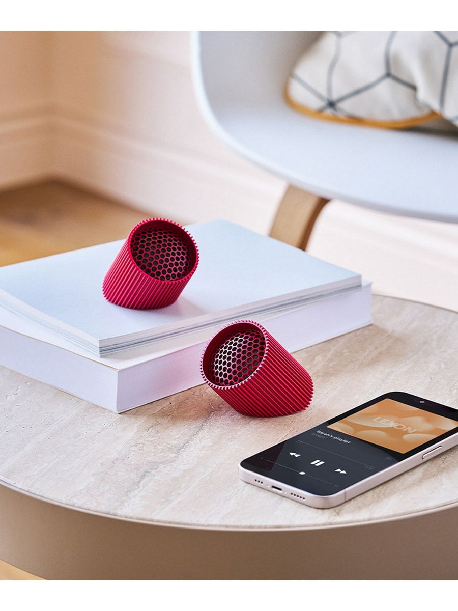 Ray Speaker
