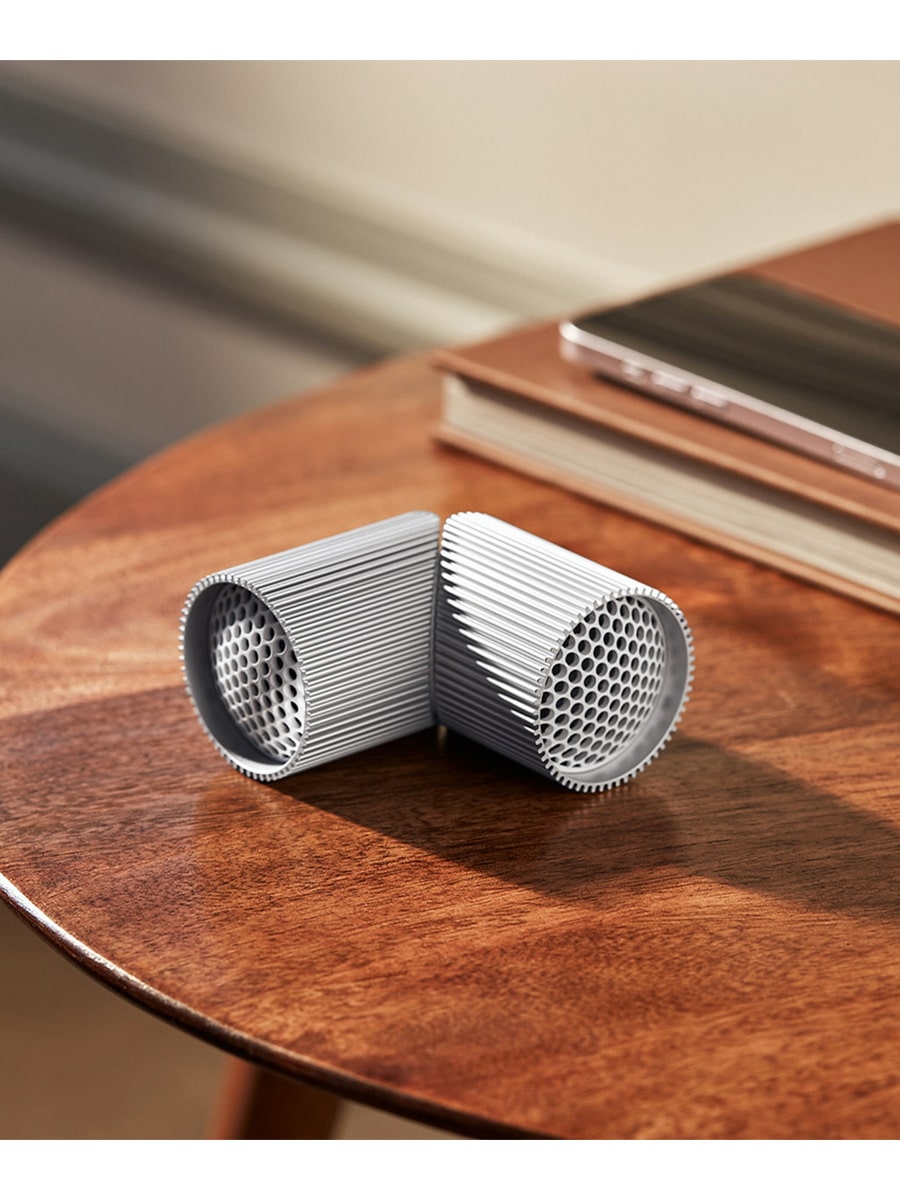 Ray Speaker