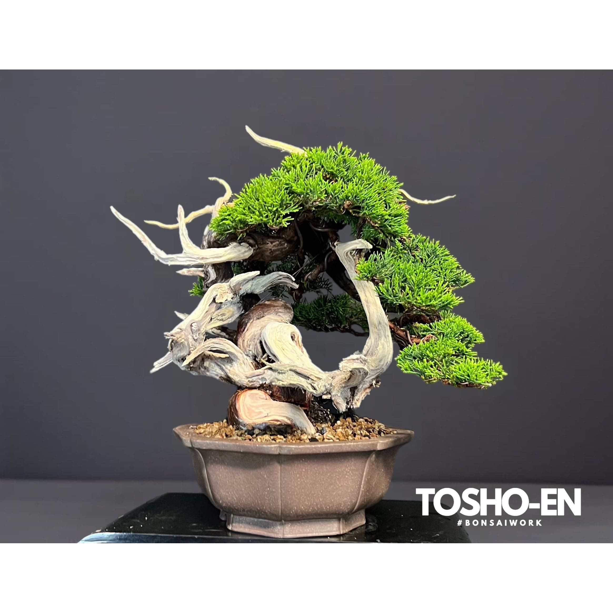 桃松園 - TOSHO-EN - / POP UP STORE