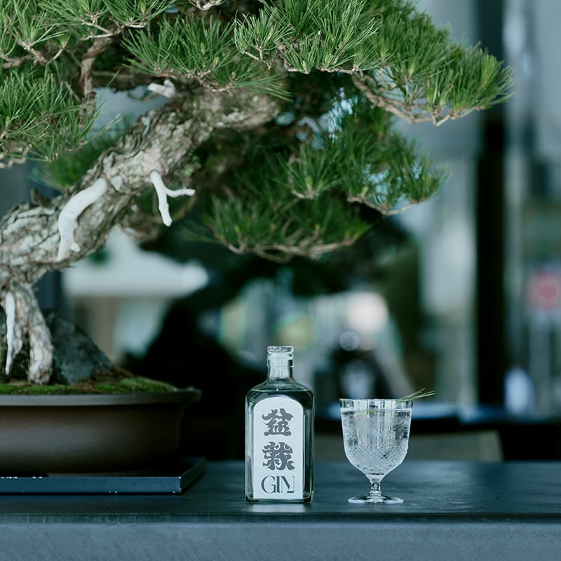 LUO / POP UP STORE