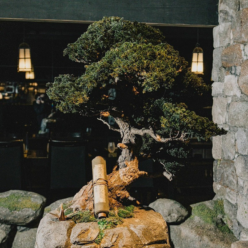 RE BONSAI / POP UP STORE