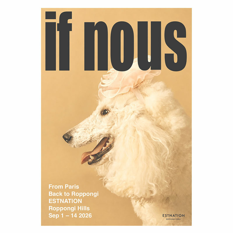 IF NOUS / POP UP STORE