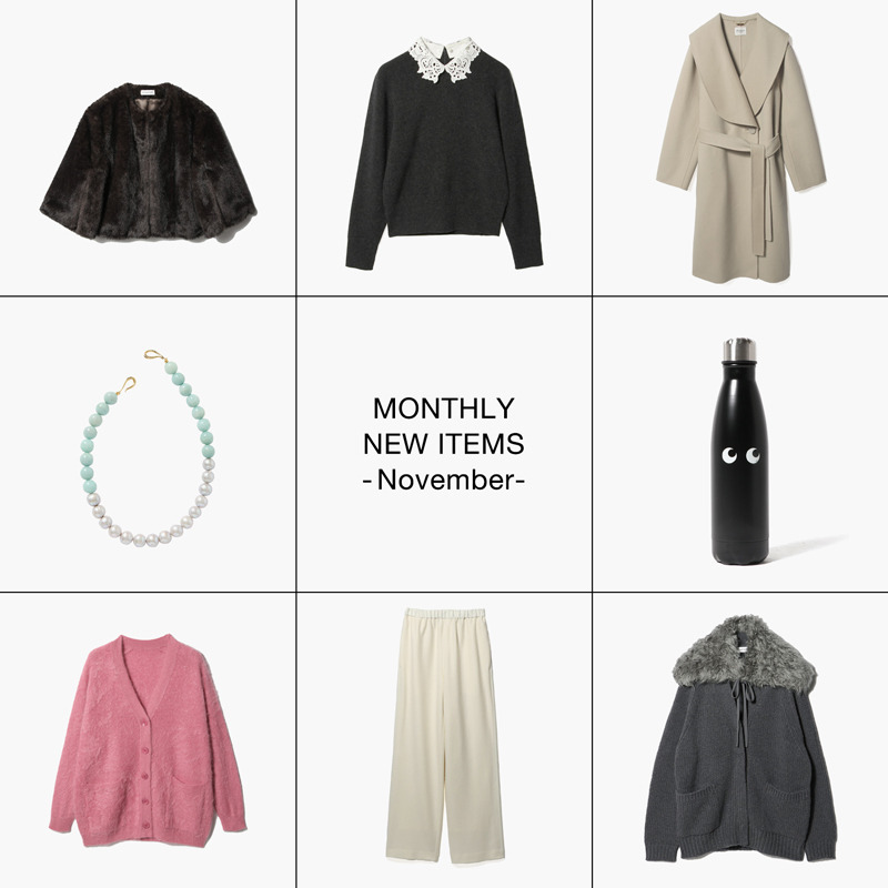 MONTHLY NEW ITEMS - November -