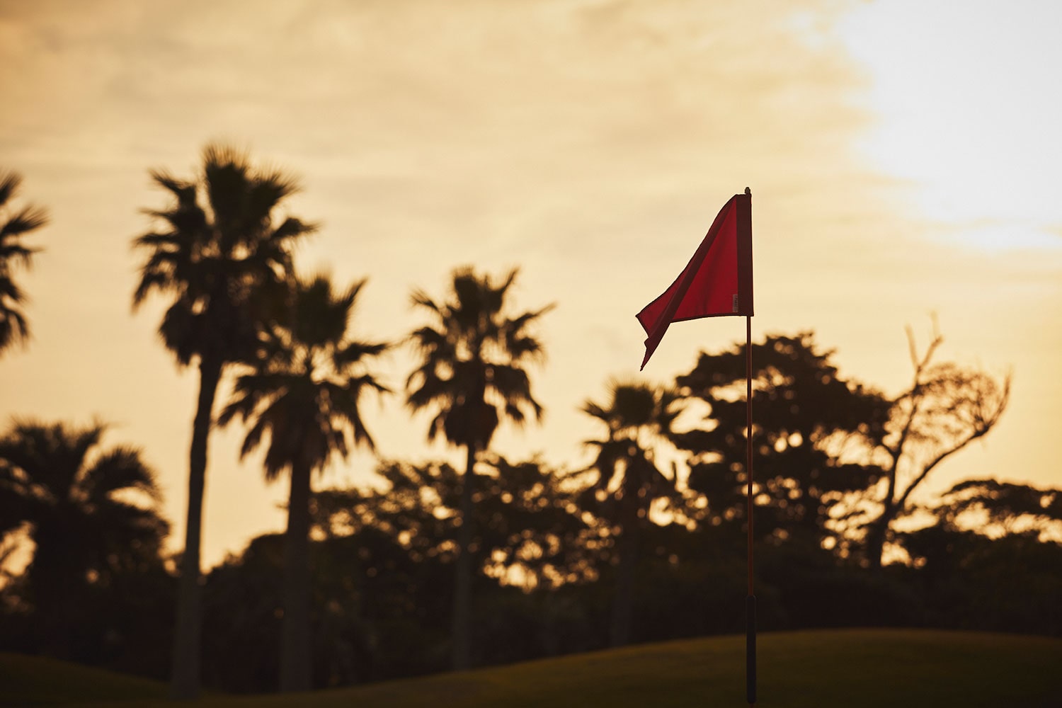ESTNATION for GOLF｜ESTNATION ONLINE STORE｜エストネーション